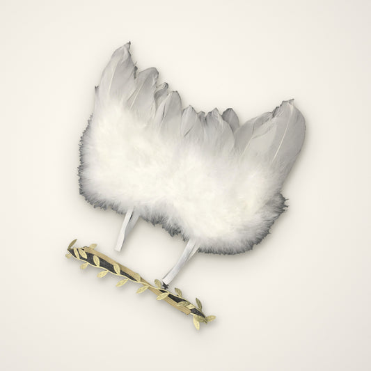Feather Wing Baby Costume – E For Egg